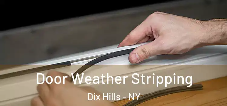 Door Weather Stripping Dix Hills - NY