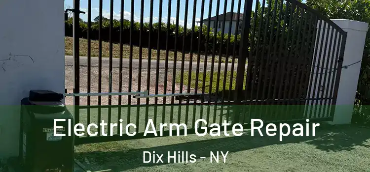Electric Arm Gate Repair Dix Hills - NY