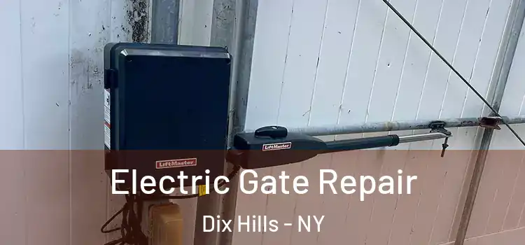 Electric Gate Repair Dix Hills - NY