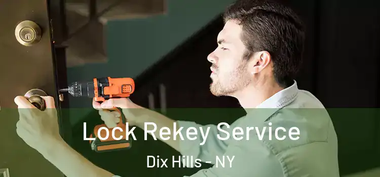 Lock Rekey Service Dix Hills - NY