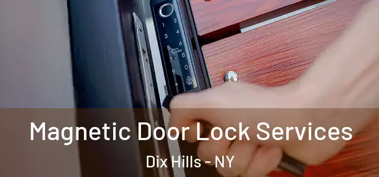 Magnetic Door Lock Services Dix Hills - NY